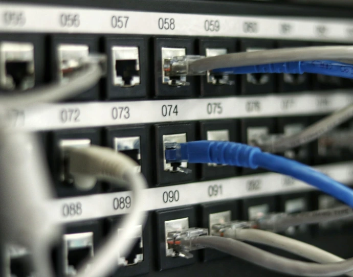 blue UTP cord
